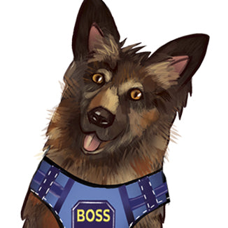 HANDBALLGANG. TRACKING THE SECRET FORMULA (English Edition)